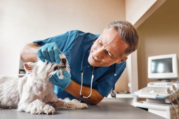 Best Broken or Cracked Tooth Emergency Dentist in Cornelius, NC